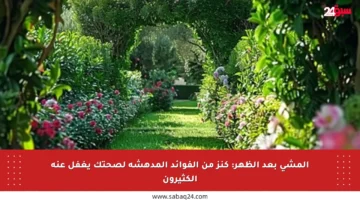 المشي بعد الظهر: كنز من الفوائد المدهشة لصحتك يغفل عنه الكثيرون